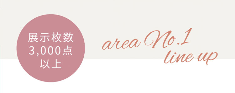 展示枚数3000点以上