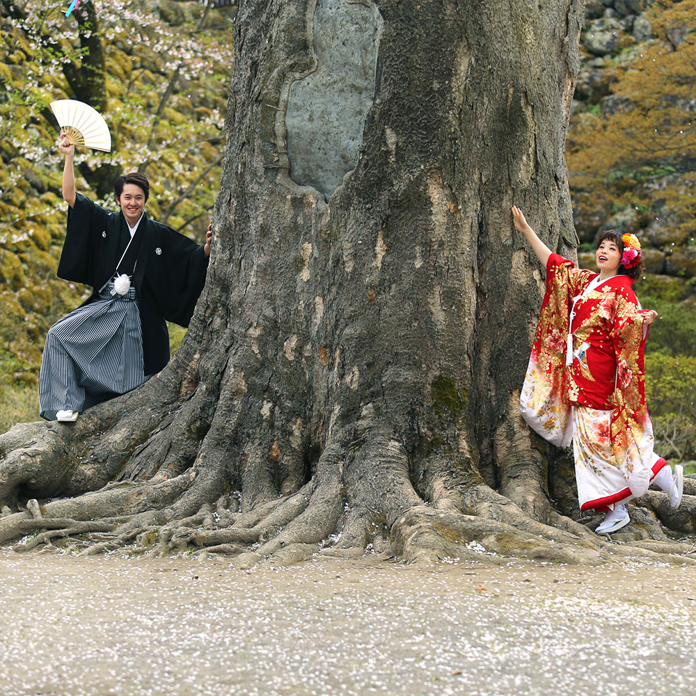 小諸市小諸懐古園 写真その7