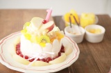 smashcake_06