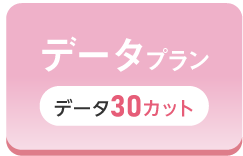 七五三撮影におすすめのスタジオ｜シャレニーの料金プランはわかりやすい3つの選べるプラン｜七五三をコスパ良くデータで残したい方におすすめのデータ30カットプラン｜選択タブ画像